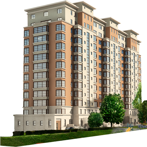 Portfolio Image 5